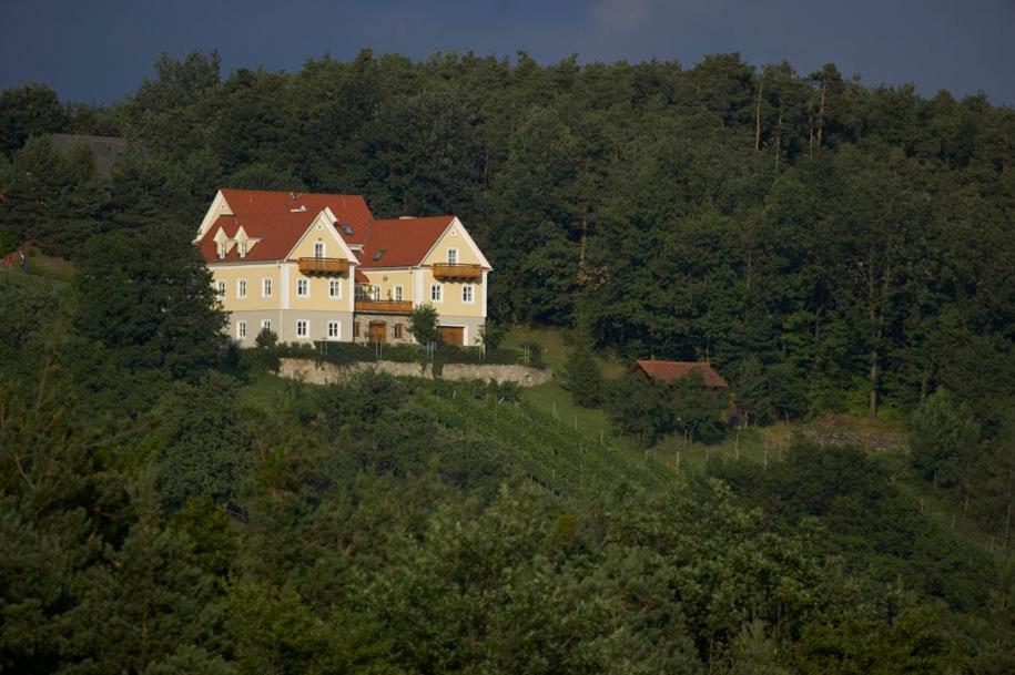 Winzerhaus Friedrich * Kaindorf (Hartberg-Furstenfeld)